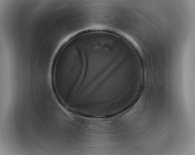 X0000113081327200908281215