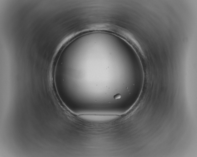 X0000113081328200908281215