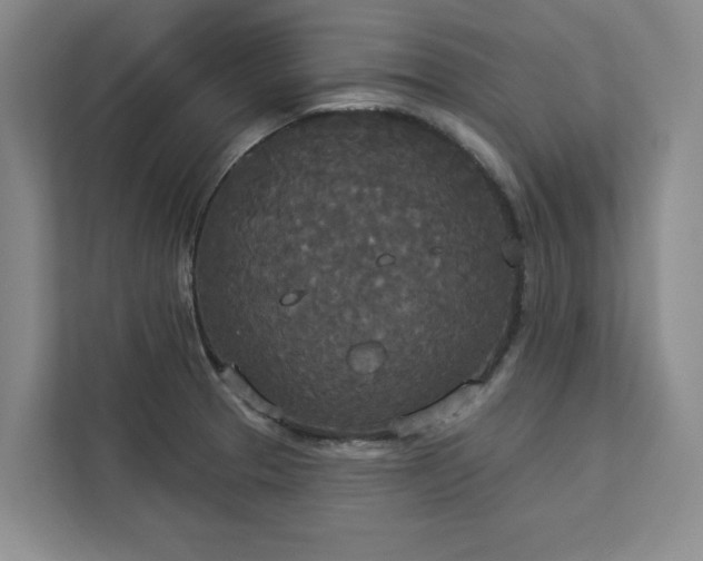 X0000113081329200908281215