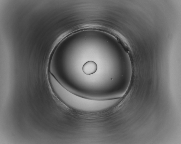 X0000113081330200908281215