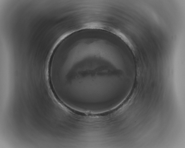 X0000113081331200908281215