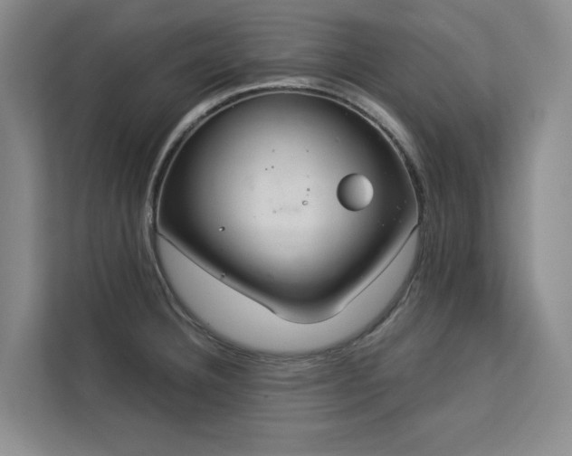 X0000113081332200908281215