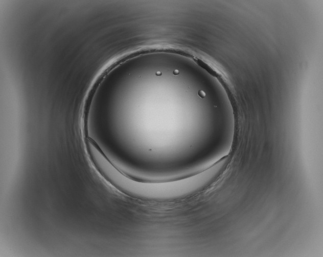 X0000113081334200908281215