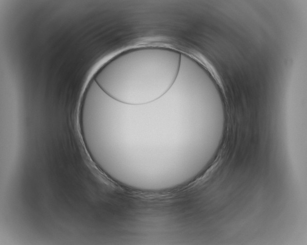 X0000113081336200908281215