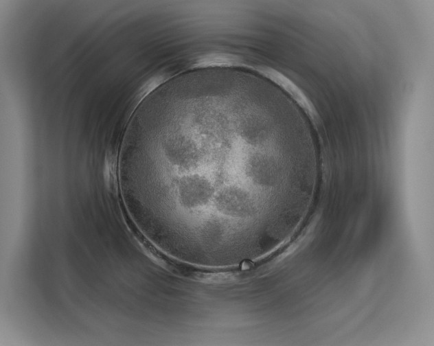 X0000113081337200908281215