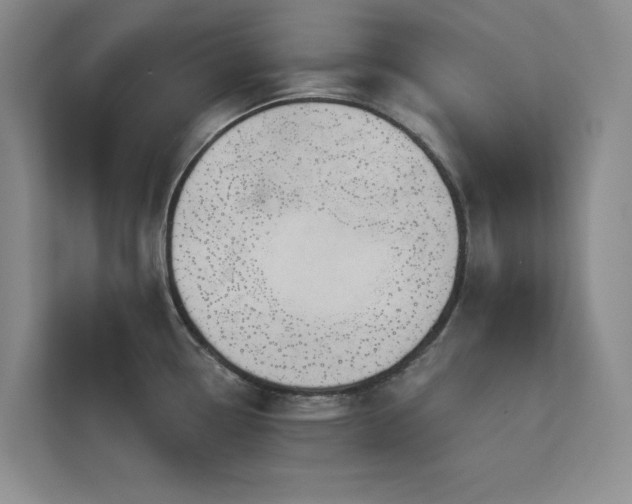 X0000113081338200908281215