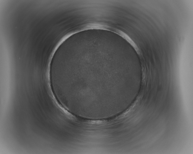 X0000113081339200908281215