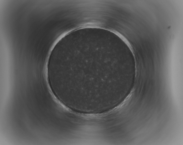 X0000113081341200908281215