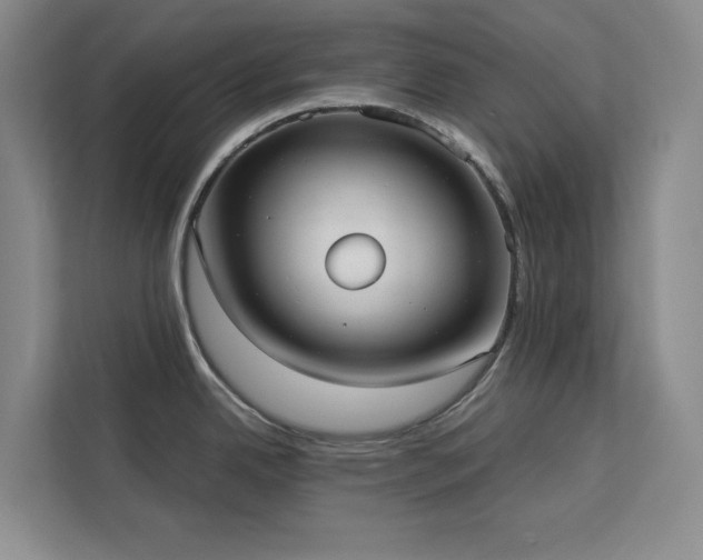 X0000113081342200908281215