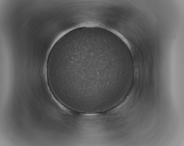 X0000113081343200908281215