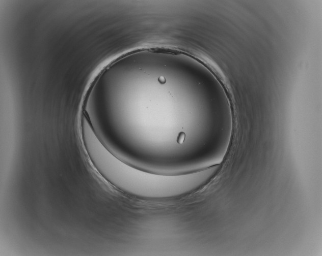 X0000113081344200908281215