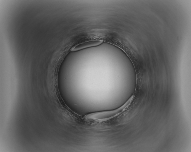 X0000113081345200908281215