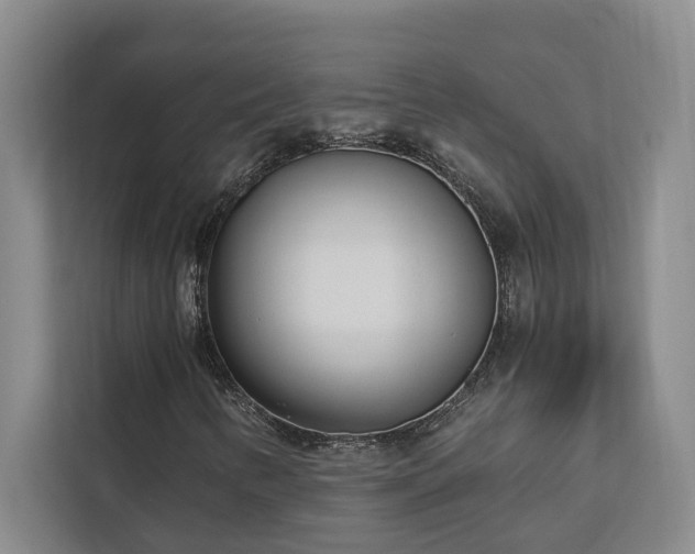 X0000113081346200908281215