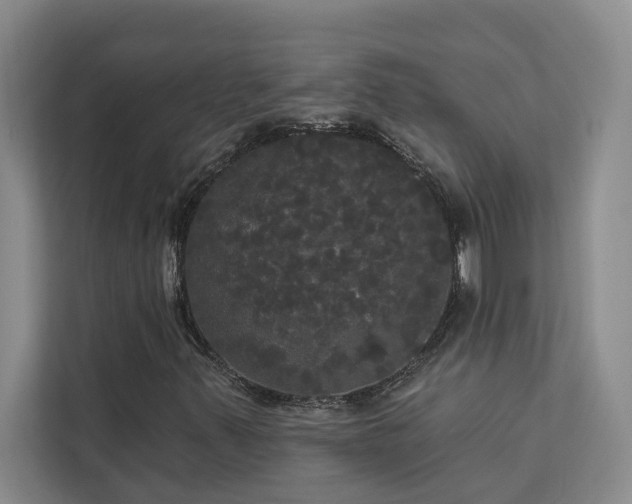 X0000113081347200908281215