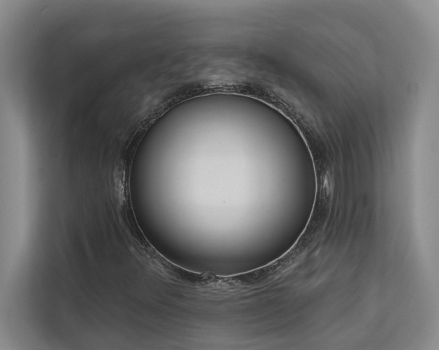 X0000113081348200908281215