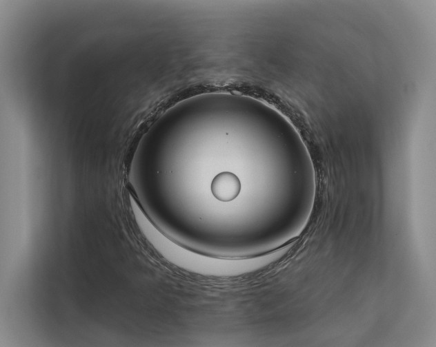 X0000113081349200908281215