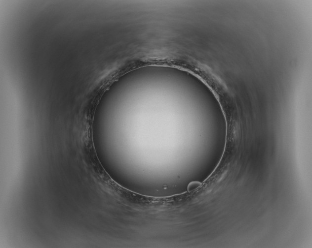 X0000113081350200908281215