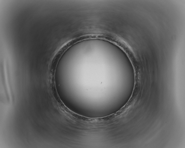 X0000113081352200908281215