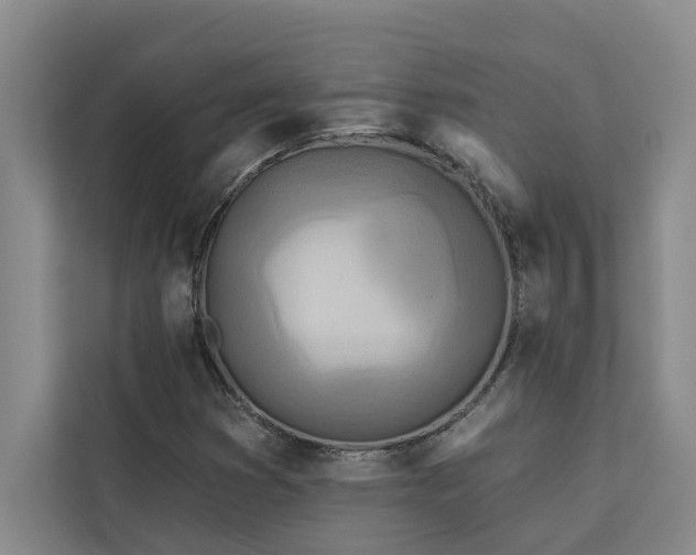 X0000113081353200908281215