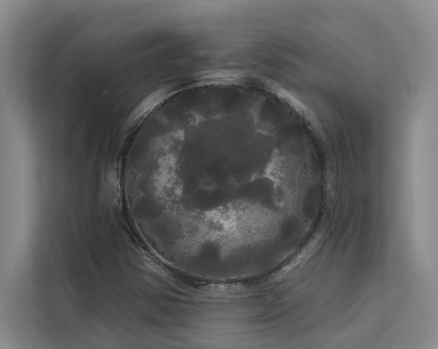 X0000113081354200908281215