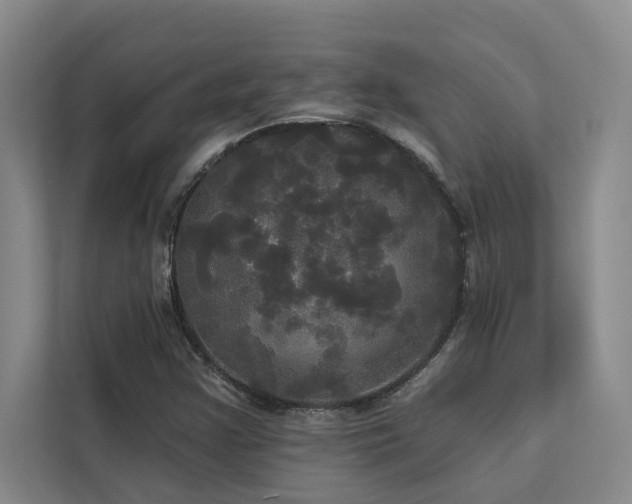 X0000113081355200908281215