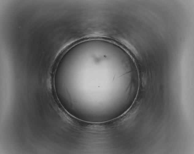 X0000113081356200908281215