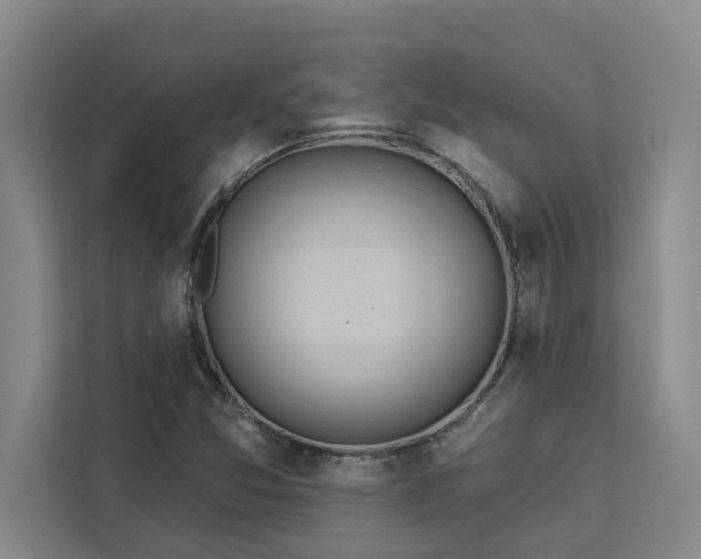 X0000113081357200908281215