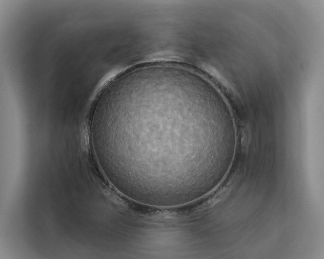 X0000113081358200908281215