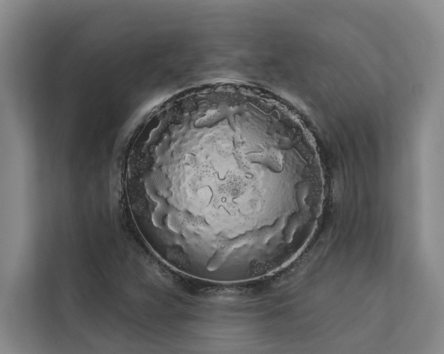 X0000113081359200908281215