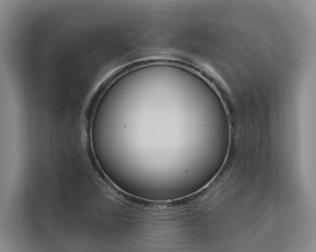 X0000113081360200908281215