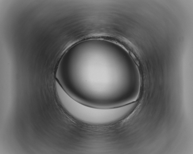 X0000113081361200908281215