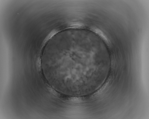 X0000113081362200908281215