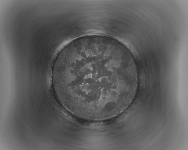 X0000113081363200908281215