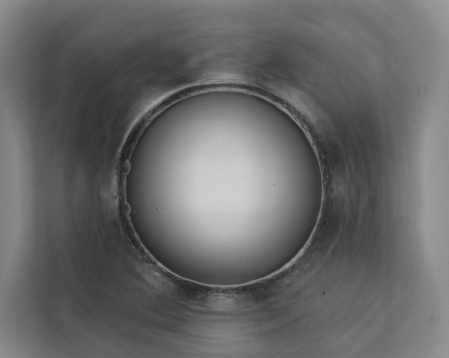 X0000113081364200908281215