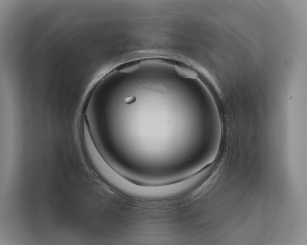 X0000113081365200908281215