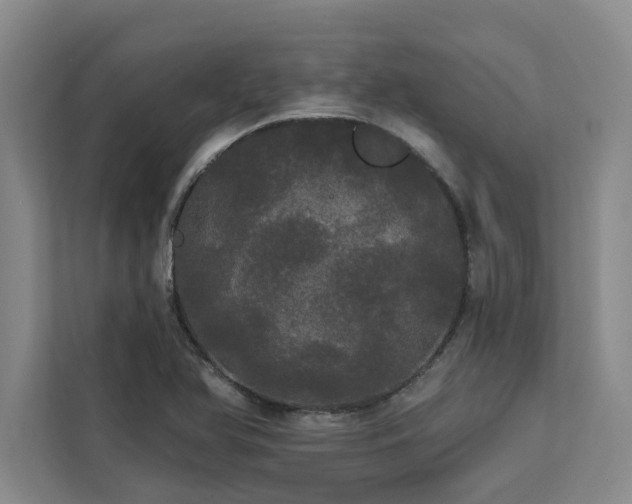 X0000113081366200908281215