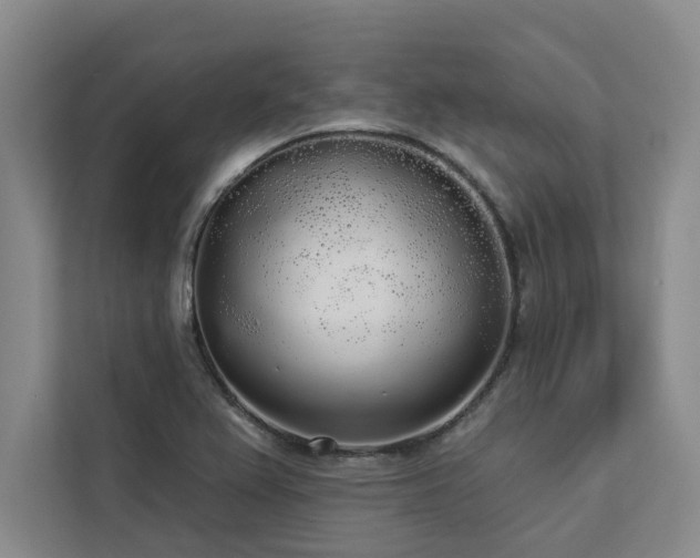 X0000113081367200908281215