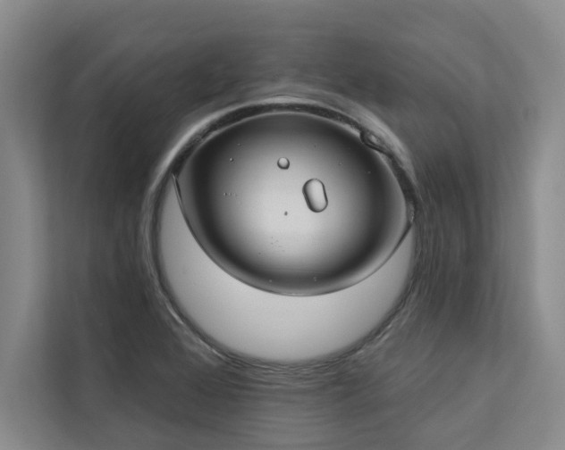 X0000113081368200908281215