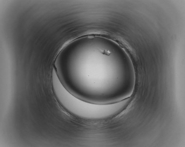 X0000113081369200908281214