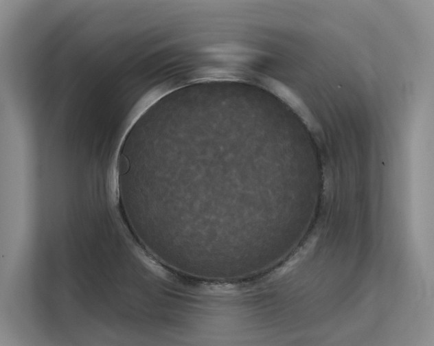 X0000113081370200908281214