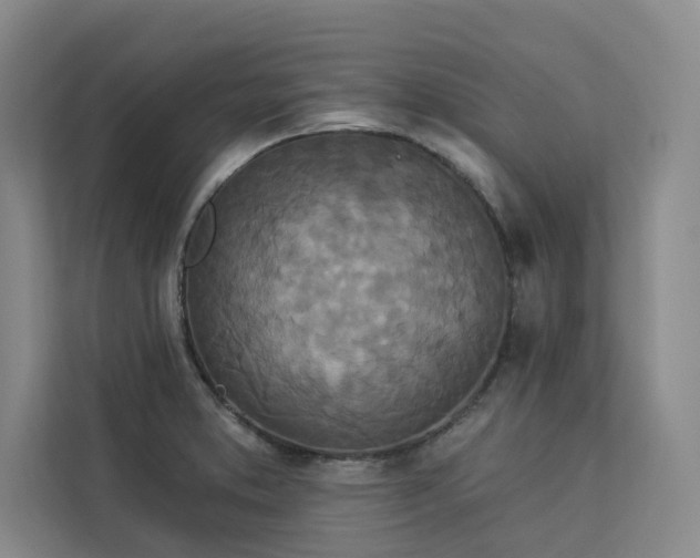 X0000113081373200908281214