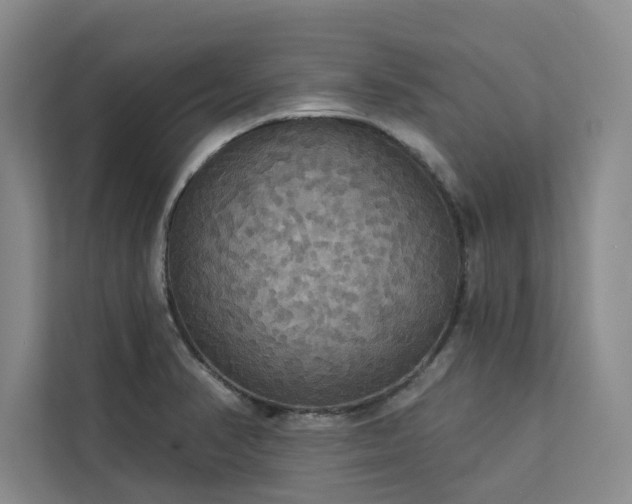 X0000113081374200908281214
