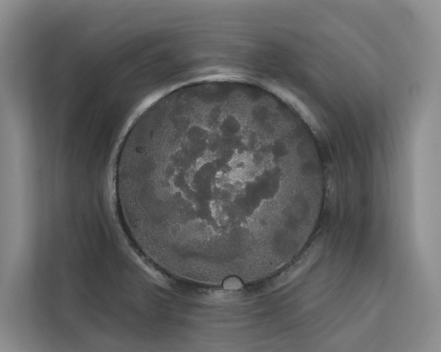 X0000113081375200908281214
