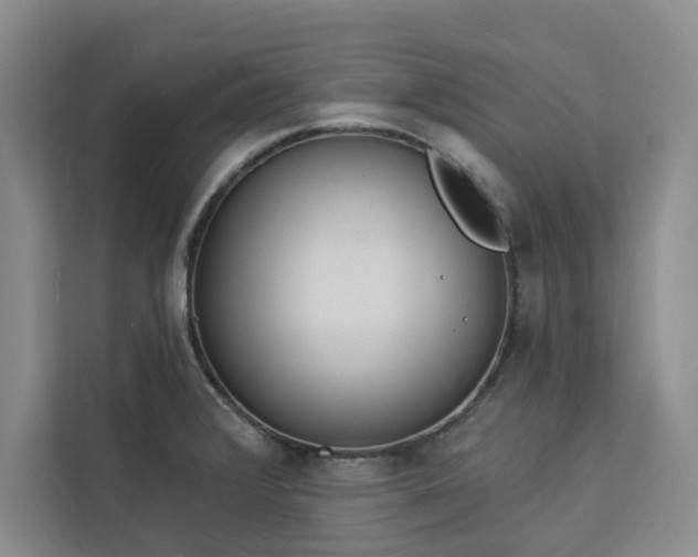 X0000113081376200908281214