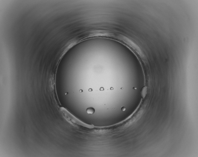 X0000113081377200908281214