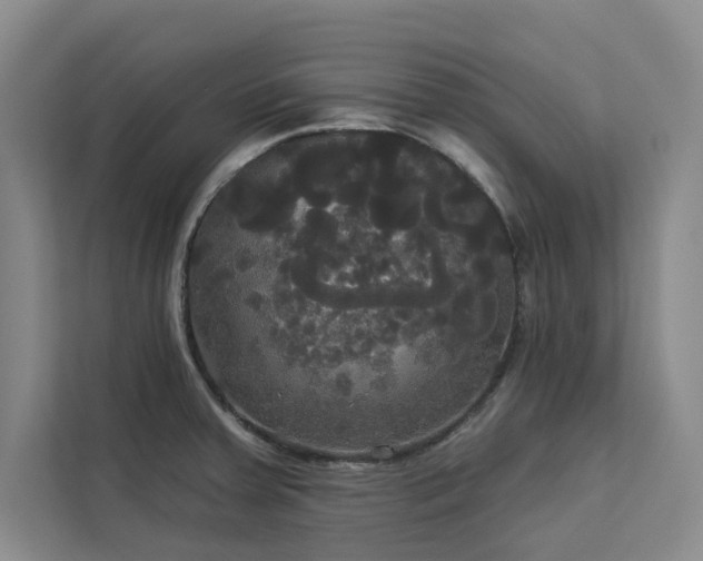 X0000113081379200908281214