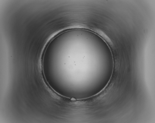 X0000113081380200908281214