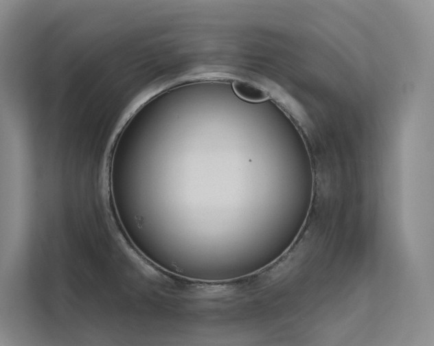 X0000113081382200908281214