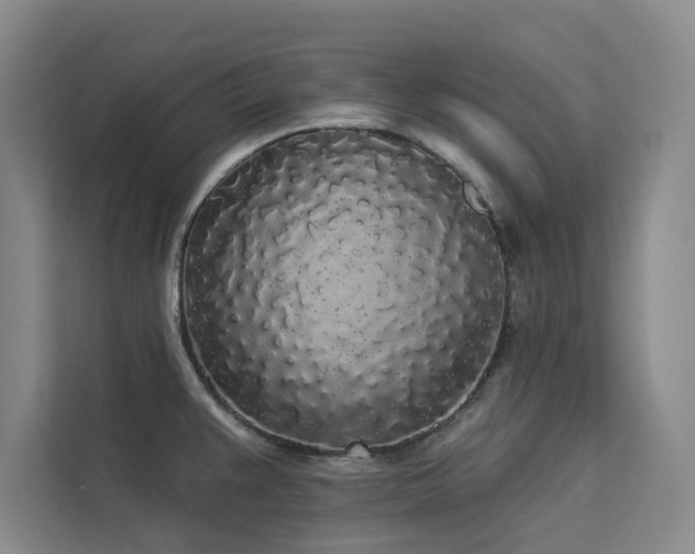 X0000113081383200908281214