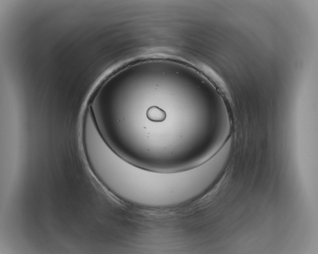 X0000113081384200908281214